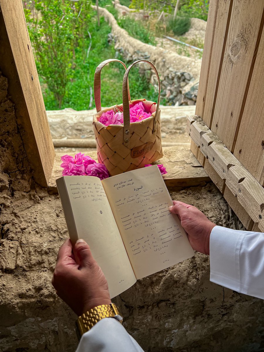 az_____z's tweet image. بدء موسم قطاف الورد الطائفي 💘