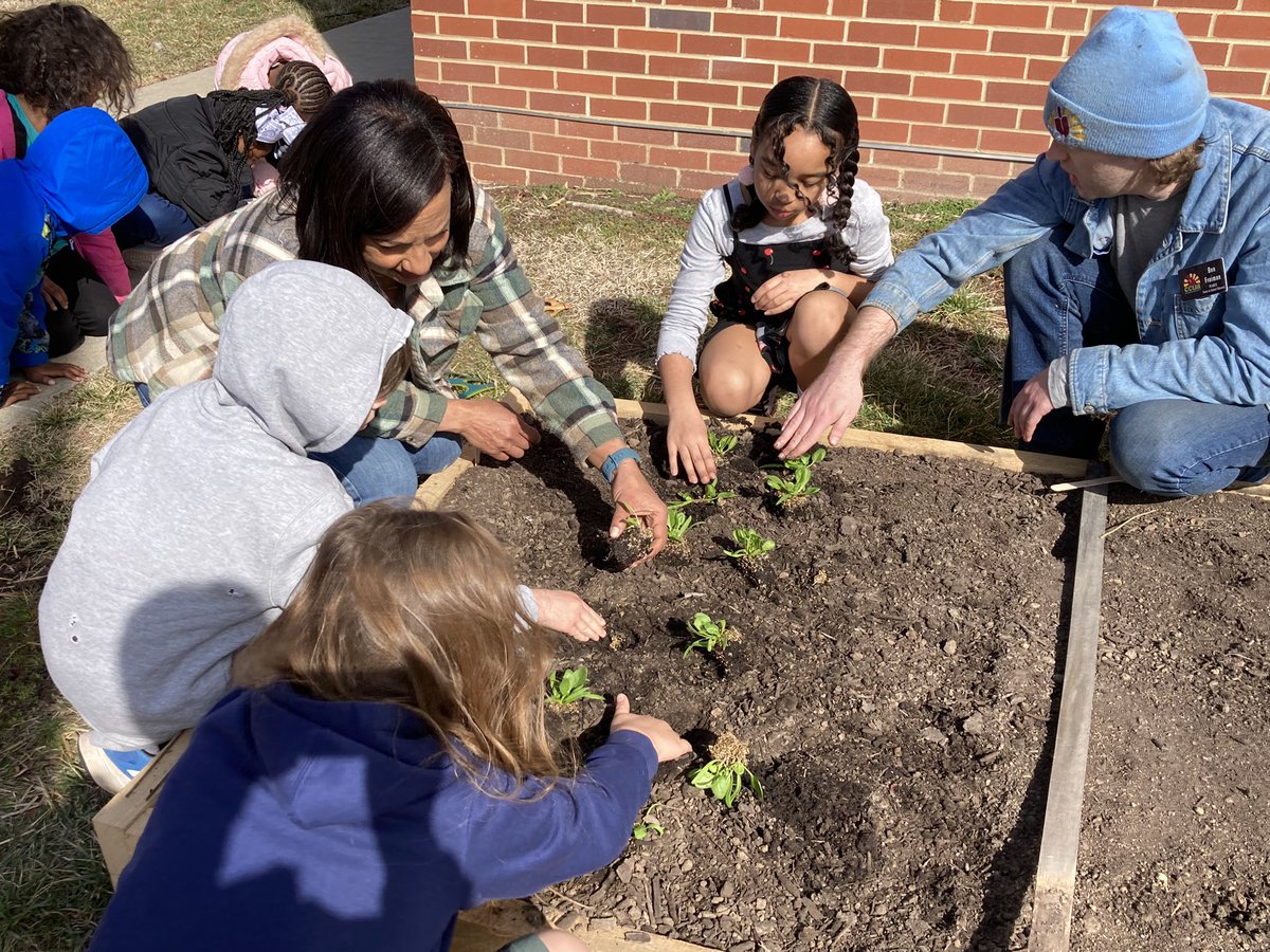 Planting Day! A beautiful day for Farm-to-School. Digging in the dirt for the win! #cpsbest @WestBlvdElem @ColumbiaUrbanAg