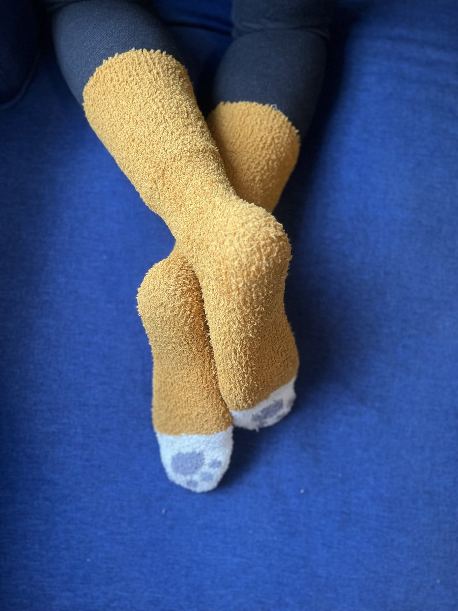 Day 1 of posting #feetpic because the internet told me to…