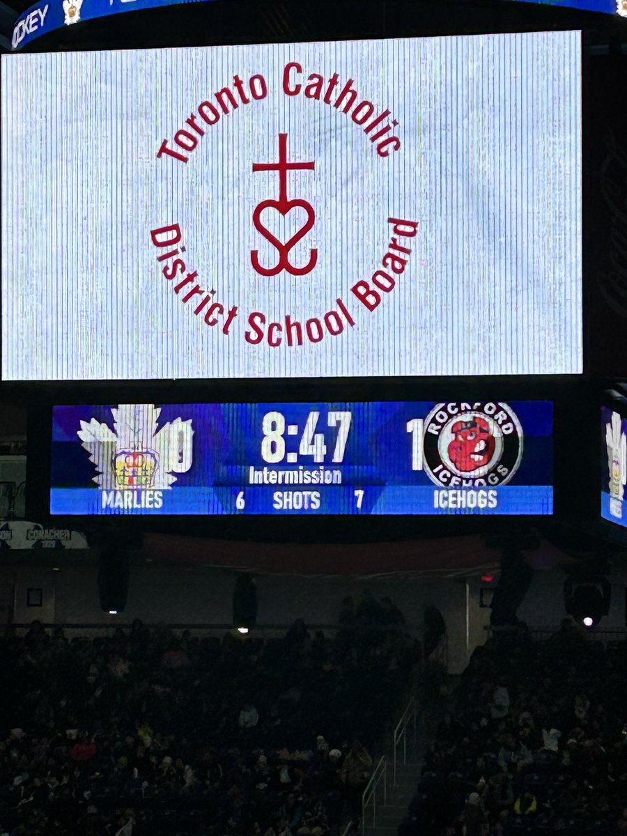 Alison Martin tweet media