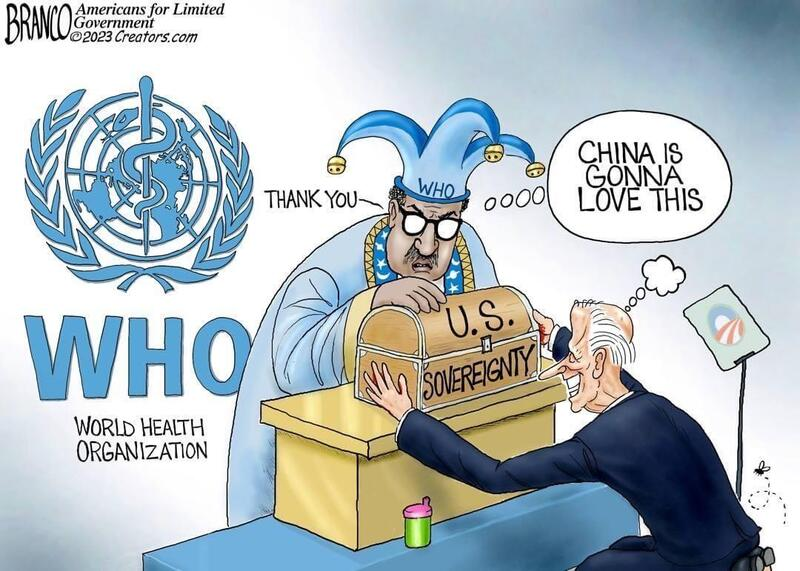 judymorris3's tweet photo. The #PandemicTreaty must be ratified by the Senate with a supermajority 2/3 vote. Neither #JoeBiden or the #BidenAdministration or #Democrats have the legal authority to abolish #USSovereignty. BUT, the evil Dems seems to be doing it and could get away with it....GRRR. https://t.co/ZhKeSFifW5