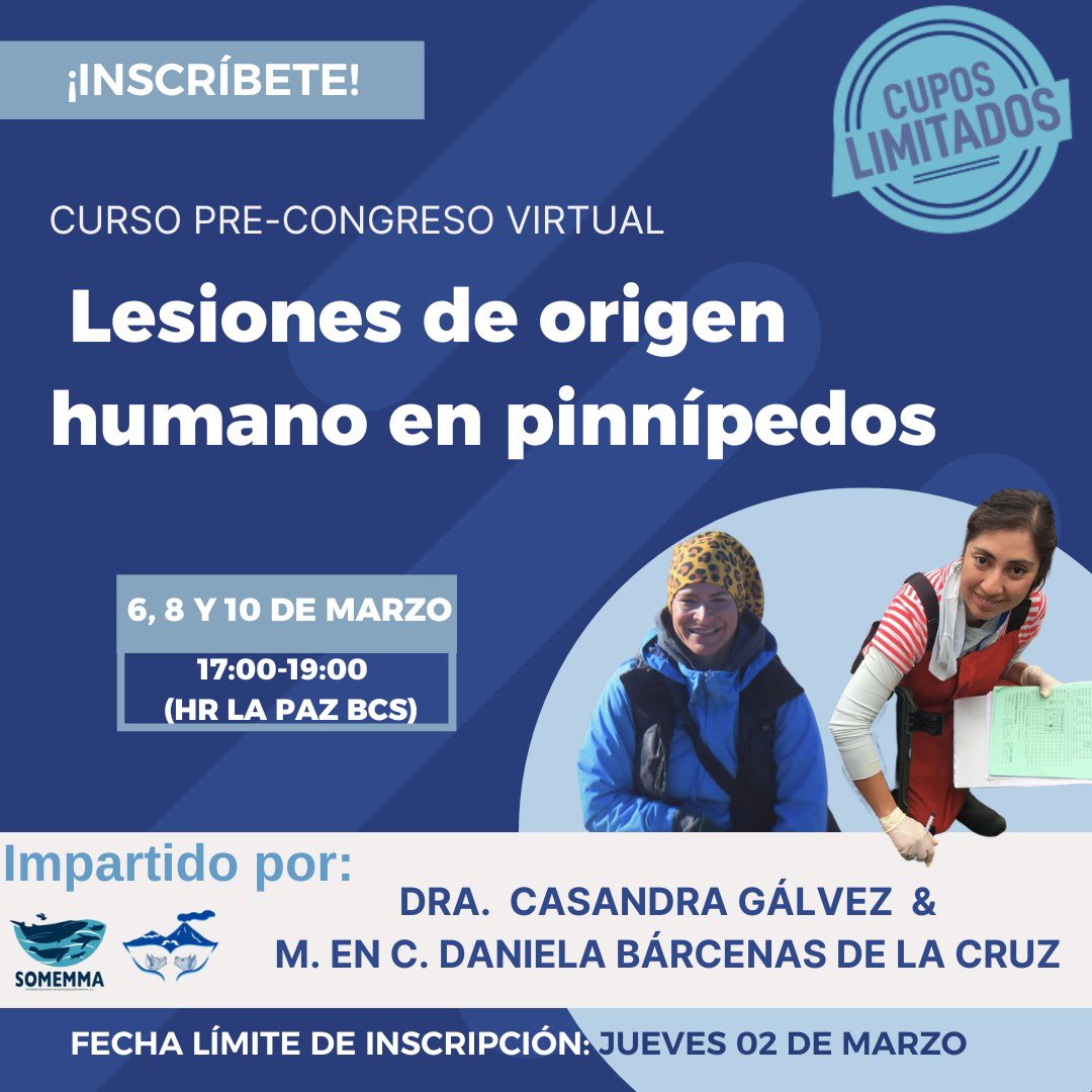 SOMEMMA1's tweet photo. SOMEMMA los invita a formar parte de nuestro próximo curso pre congreso donde podrán aprender sobre lesiones de origen humano en pinnípedos 🦭¡No te quedes fuera! Visita nuestra página web  https://t.co/qksdF3yUOI https://t.co/ZGNP8kCDAG