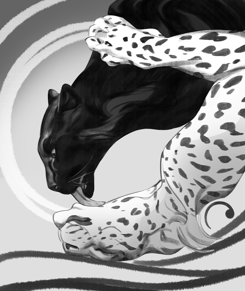 Zurahel1's tweet image. 52/365.