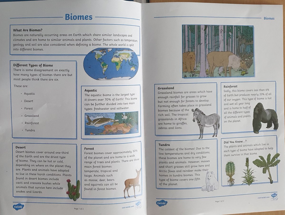 Y3OPS's tweet image. In English we are reading texts to research biomes and as part of our Reflect Ed learning we are learning how to summarise key points from a text #English #ReflectEd