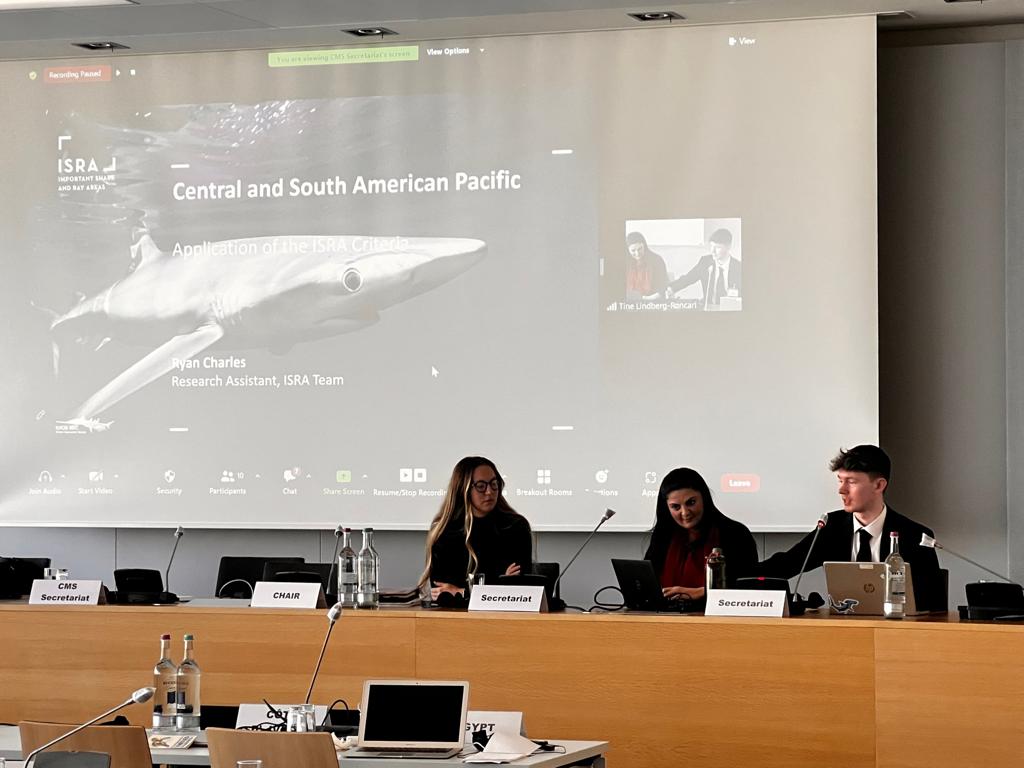 SharkRayAreas's tweet photo. Our team is at @BonnConvention #SharksMOS4 ! We hosted a side event featuring @ElasmoProject describing the ISRA project, @ryancshark sharing our South American Pacific e-Atlas, and @fenella_wood talking about how this fits into the CMS shark MOU! 

Thanks to those who joined us! https://t.co/wUzxqmTGTW