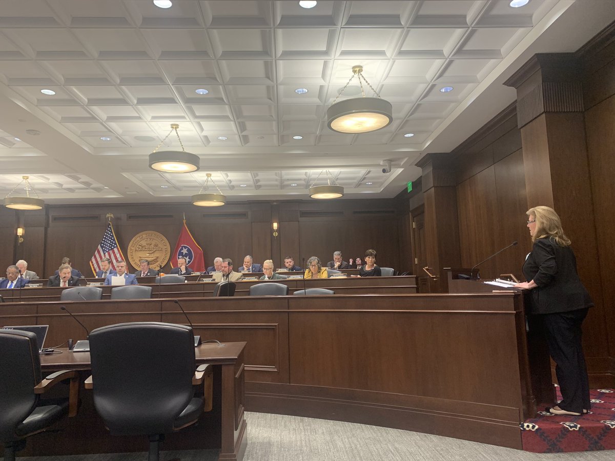 AFPTN's tweet photo. Thank you to the #TNleg State and Local committee for protecting public comments w/ Rep. @ElaineElect #HB448 https://t.co/KmdTU9101Y