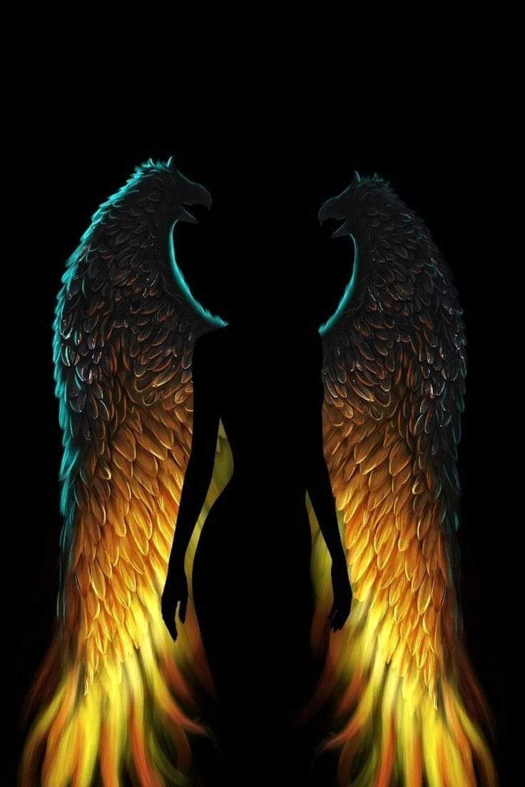 "A veces no es la jaula, es el miedo a desplegar las alas.
A veces, para volar, hay que dejar de cantarle al carcelero, saberse libre y querer ser cielo..." 🖤