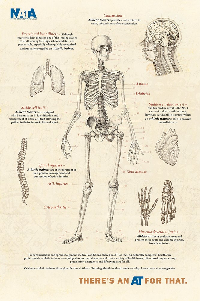 The #NATM2023 poster was included in the February NATA News but if you want to print additional copies you can download a PDF version now. Posters from previous years are also available to download. #TheresanATforthat #AT4me nata.org/national-athle…