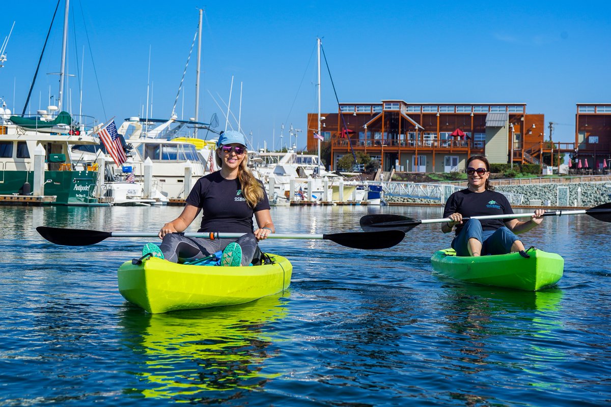OceanConnectors's tweet image. Happy Women’s History Month! This month and every day, we feel very proud to have a team full of inspiring and hardworking women dedicated to conservation. 

#BeAnOceanConnector #MarineConservation #ocean #nonprofit #WomensHistoryMonth #education #conservation
