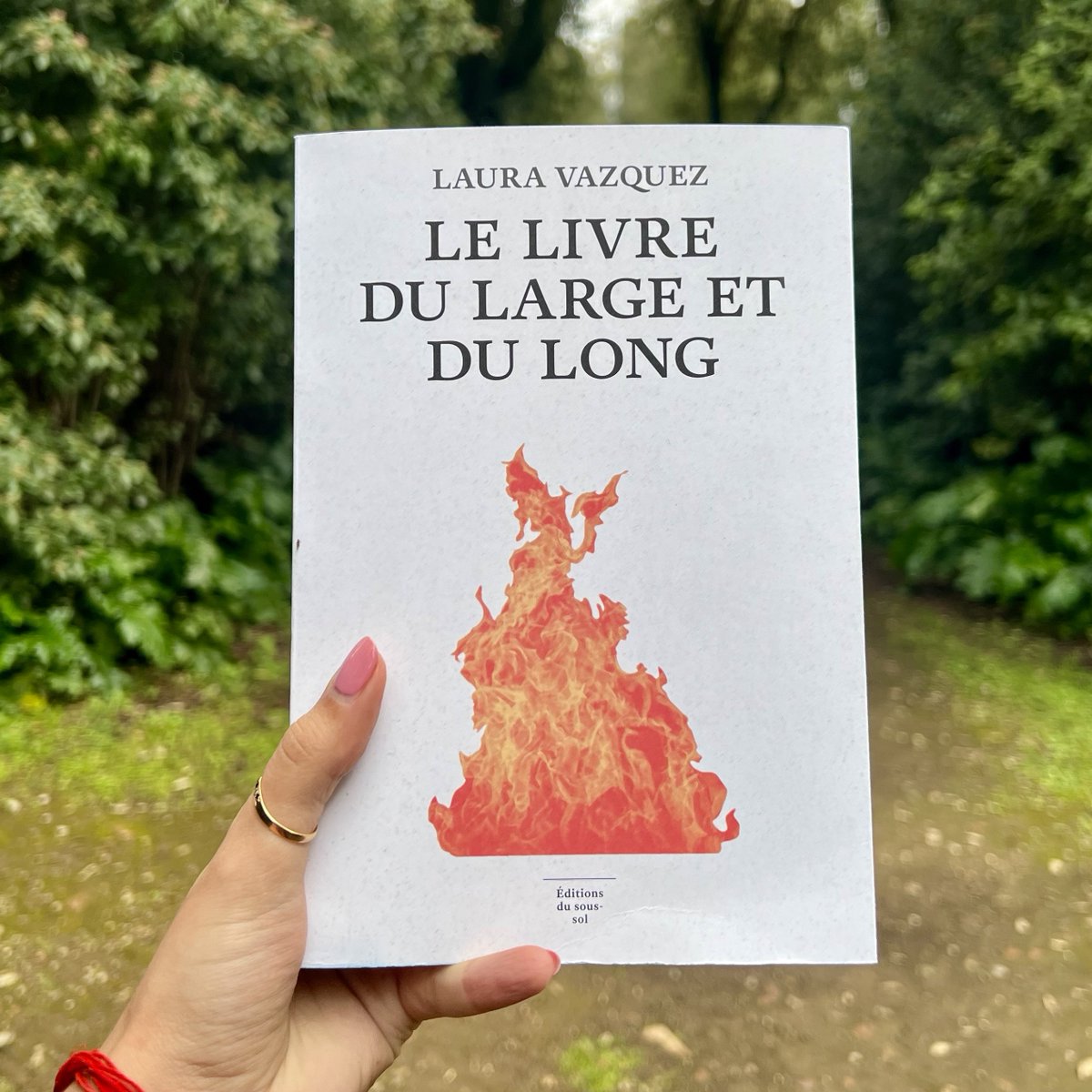 Le livre du large et du long arrive en librairie à partir du 10 mars. C’est une épopée en vers. Une fille explore toute la vie. On fêtera sa sortie à la Maison de la poésie, le 10 mars. Et le lendemain, je parlerai du livre à la librairie Le Genre urbain.
