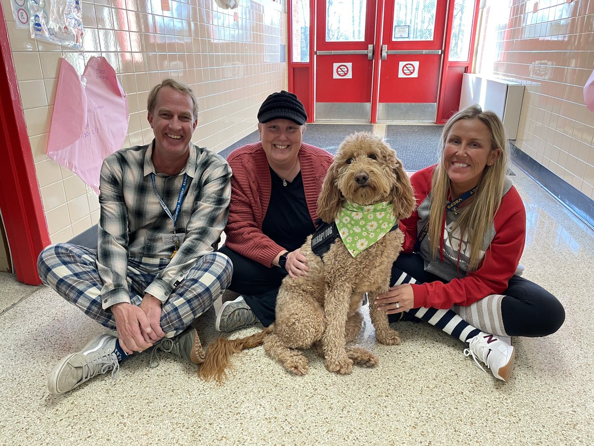 Ryanne Davis tweet media