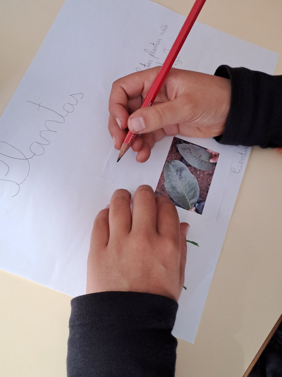rita_ml_campos's tweet photo. Mapping and characterizing #biodiversity in #school combining scientific knowledge, knowledge from experience, criativity and emotions.

Me and my fellow (#children) scientist ☺️ https://t.co/qFn910oVw6