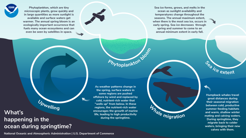 It's officially spring in the Northern Hemisphere and <a href="/NOAA/">NOAA</a> is here to celebrate! From graphics to educational resources, spring into science with us and check out our content.
#SpringIntoScience noaa.gov/education/spri…