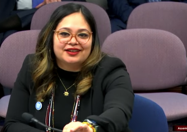 BattleBornProg's tweet photo. "This is not a callout or an attack on police, the intent of this bill is to protect our children" stated for the record by @CeceliaGNV in regards to #AB193 and why this bill is important. #NVLeg https://t.co/P6DH5Ey5RM