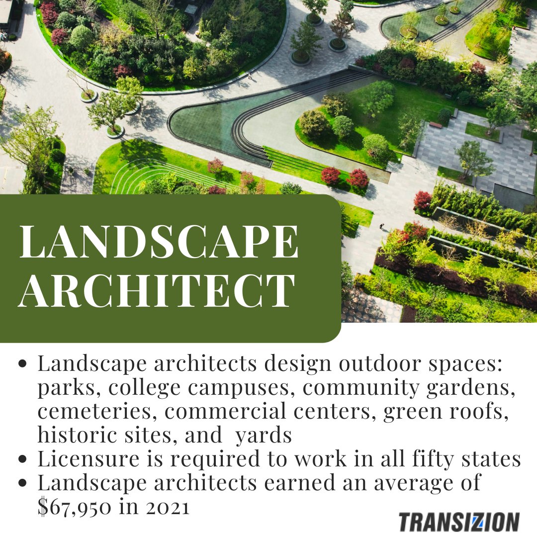 Transizion tweet media