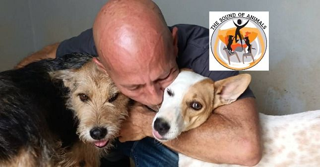 TheSoundOfAnim2's tweet photo. 🚨DOUBLE DONATION !🚨 
Every single donation made from now until midnight March 6th will be doubled by guardian angels!
This fundraiser’s goal is to try and cover everything that is due or overdue.
Thank you for never giving up, thank you for helping them
https://t.co/pTkeD186Tk https://t.co/qJCuPXTEk9