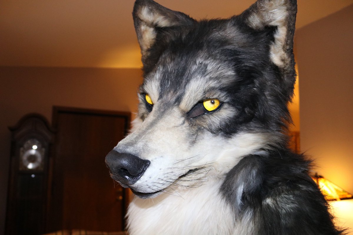 WolfPagan's tweet photo. Some people say “March comes in like a lion, goes out like a lamb”.  What if March comes in like a wolf instead?🐺

(Also, where can I find that tasty lamb?) 😋 https://t.co/TgFwC0UFBX