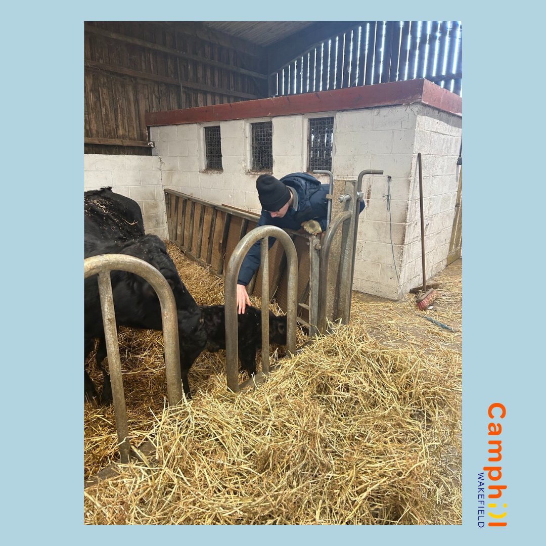 CamphillW's tweet photo. Say hello to Camphill Wakefield's newest arrivals!
On Monday, our farm group met the new calves on the farm, what an exciting time! https://t.co/Km4LJF8rf9