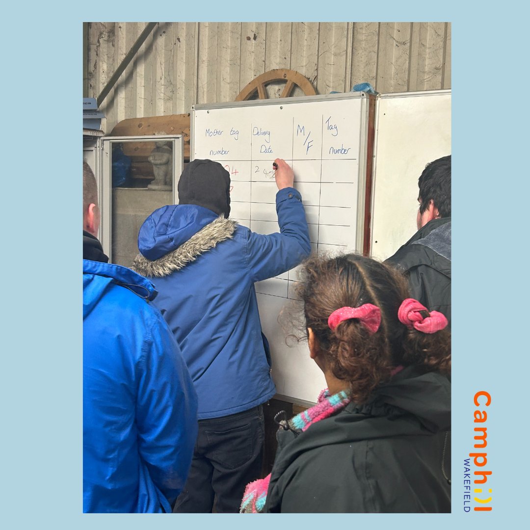 Say hello to Camphill Wakefield's newest arrivals!
On Monday, our farm group met the new calves on the farm, what an exciting time!