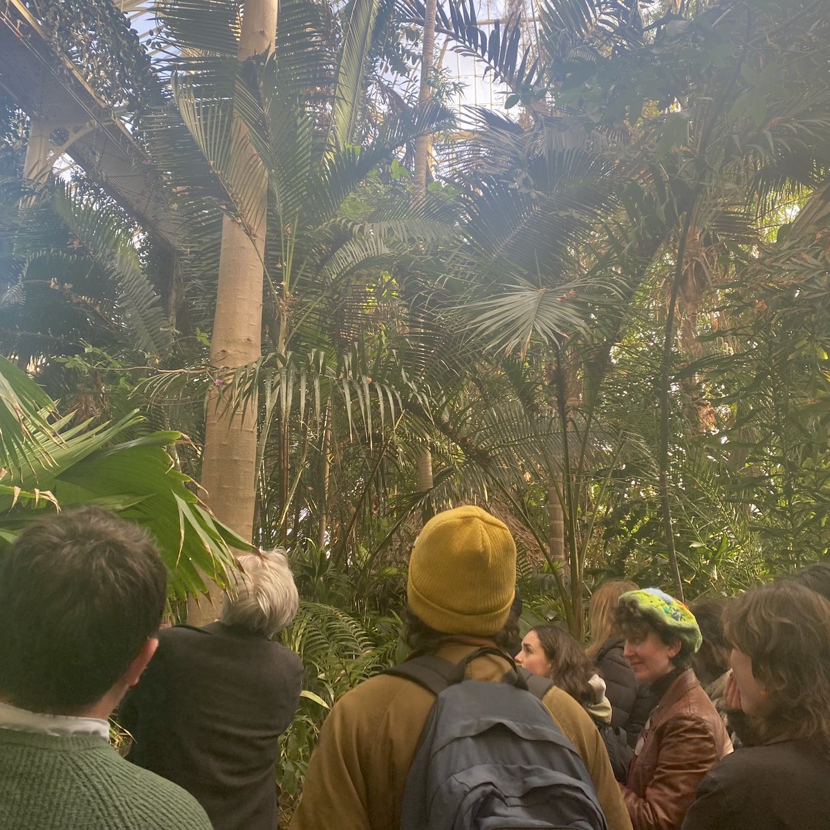 tcdbotsoc's tweet photo. Huge thank you to @LuptonDarach @wuu_kuang and Dr Matthew Jebb for giving us an incredible tour of @NBGGlasnevinOPW and its facilities this afternoon. We all learned so much today! 🪴🍀🌳🌲🌵 https://t.co/k3hMNlb8AO