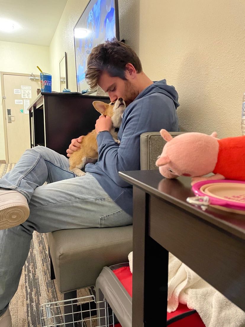 waltywalt17's tweet photo. Something to melt your heart on a Wednesday morning. https://t.co/ujFONuyqgR