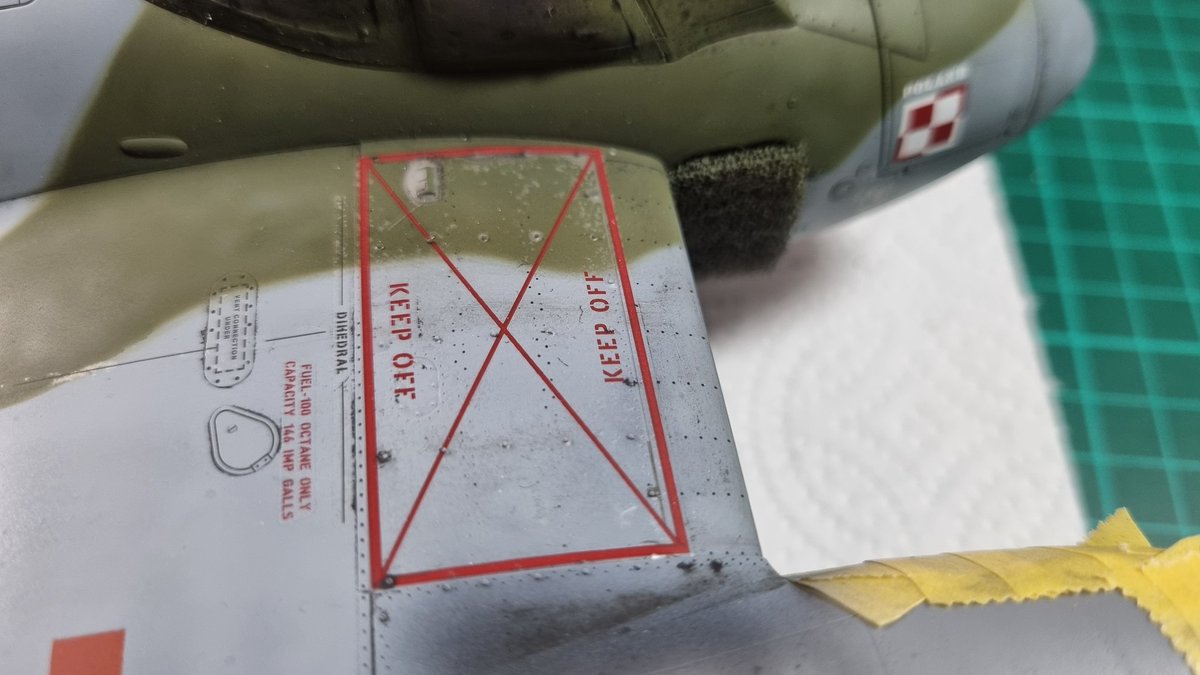 Damn it these were sat down lovely looks like they lifted while drying