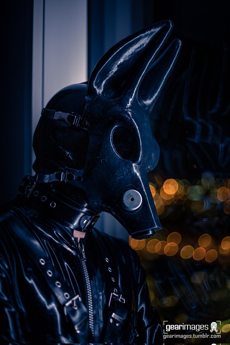GEARimages's tweet photo. The 'Anuben of NordicFuzzCon'-Files
.
@LennyWolf1, @tekkie & @Noweti
.
#gearphotography #nfc #nordicfuzzcon #nordicfuzzcon2023 #rubber #latex #anubis #anubismask #chakal #gearhead https://t.co/GzDoIbd1gp