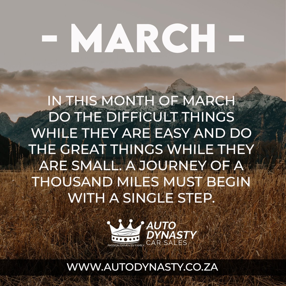Auto Dynasty Car Sales tweet media