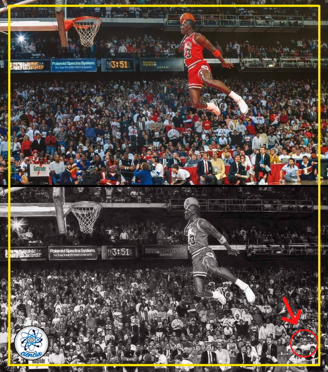 La imagen a color es la original, y es la fotografía más icónica de Michael Jordan. La imagen inferior es la misma foto, pero dibujada a mano por el artista Keegan Hall, quien tardó 250 horas en realizarla; además se incluyó en su obra (señalado en rojo en la imagen inferior).