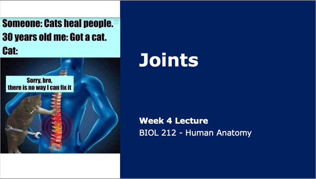 We’re learning about joints today in Anatomy <a href="/LinfieldUniv/">Linfield University</a>. And if this meme doesn’t sum up how I feel since I’ve hit 30…
