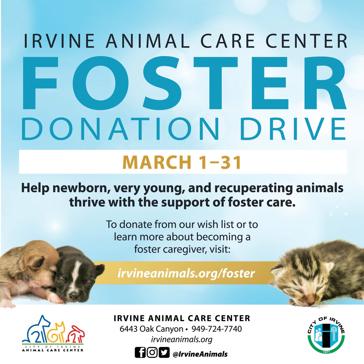 Irvine Animal Care Center (@IrvineAnimals) / Twitter Irvine Animal Care Center (@IrvineAnimals) / Twitter