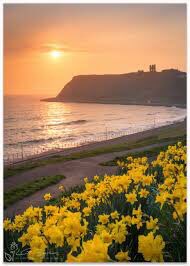 PrayerHubBoro's tweet image. “Be joyful and keep the faith. Do those little things you have seen and heard from me.”
– St David’s last words to his monks

On this #StDavidsDay we pray for joy and the faith to do the little things in life well. 

In Jesus’ name

#Amen