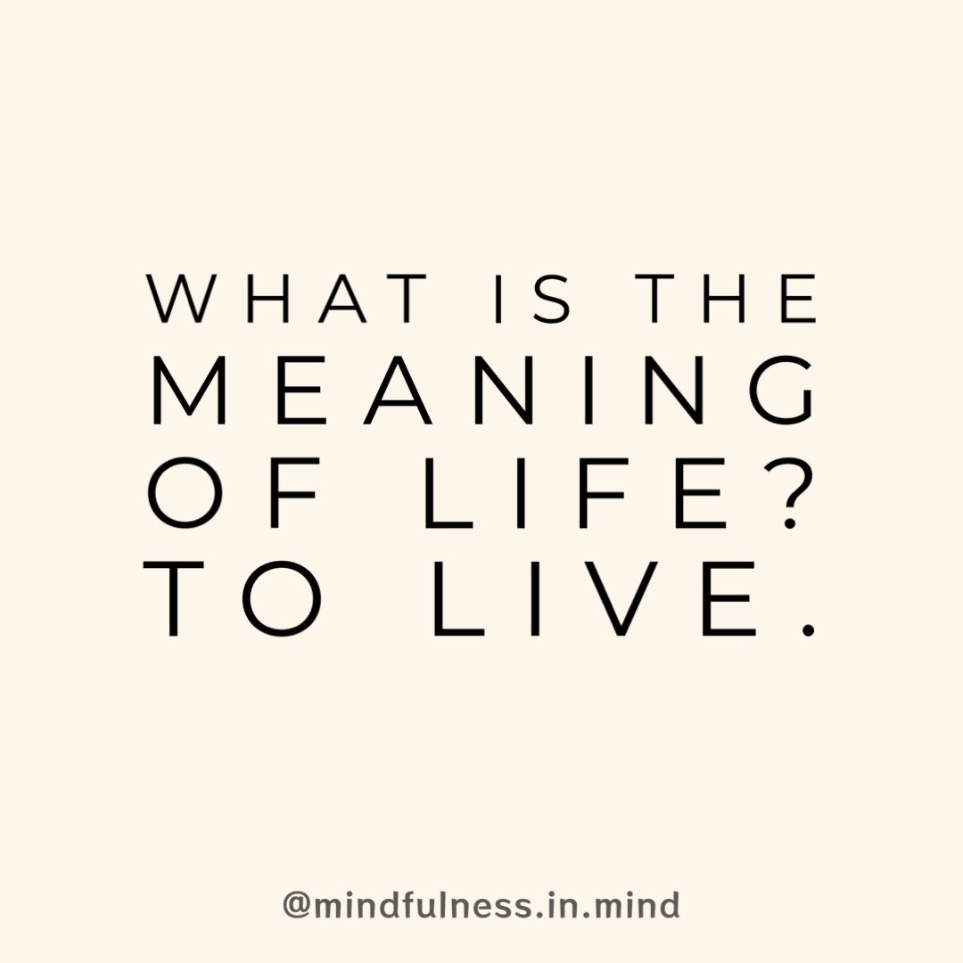 What’s the meaning of life? To live.