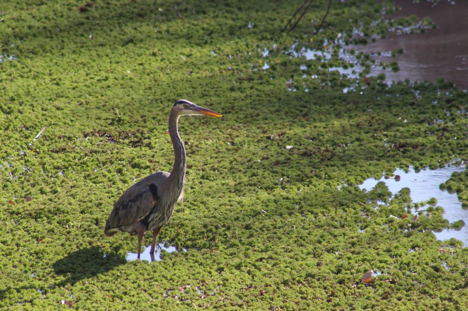 Jennifer Gonzales tweet media