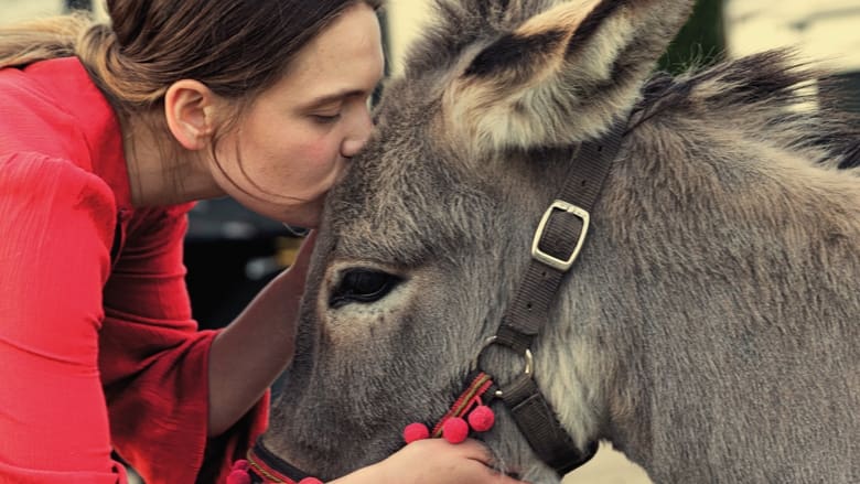 Vanaf morgen in de bioscopen: "EO". Een roadtrip van een mensen observerende ezel. Een filmervaring die binnenkomt. Lees onze review over deze nieuwe film van Jerzy Skolimowski poleninbeeld.nl/cultuur/in-de-…
#EO <a href="/thesearchers/">TheSearchers</a>  #film #Polen #ezel
