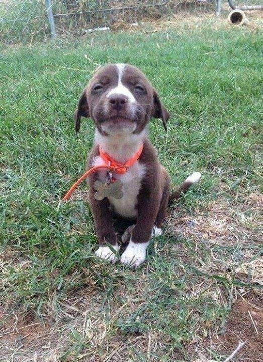 Do ya think l'm a pretty baby ?💞🥹