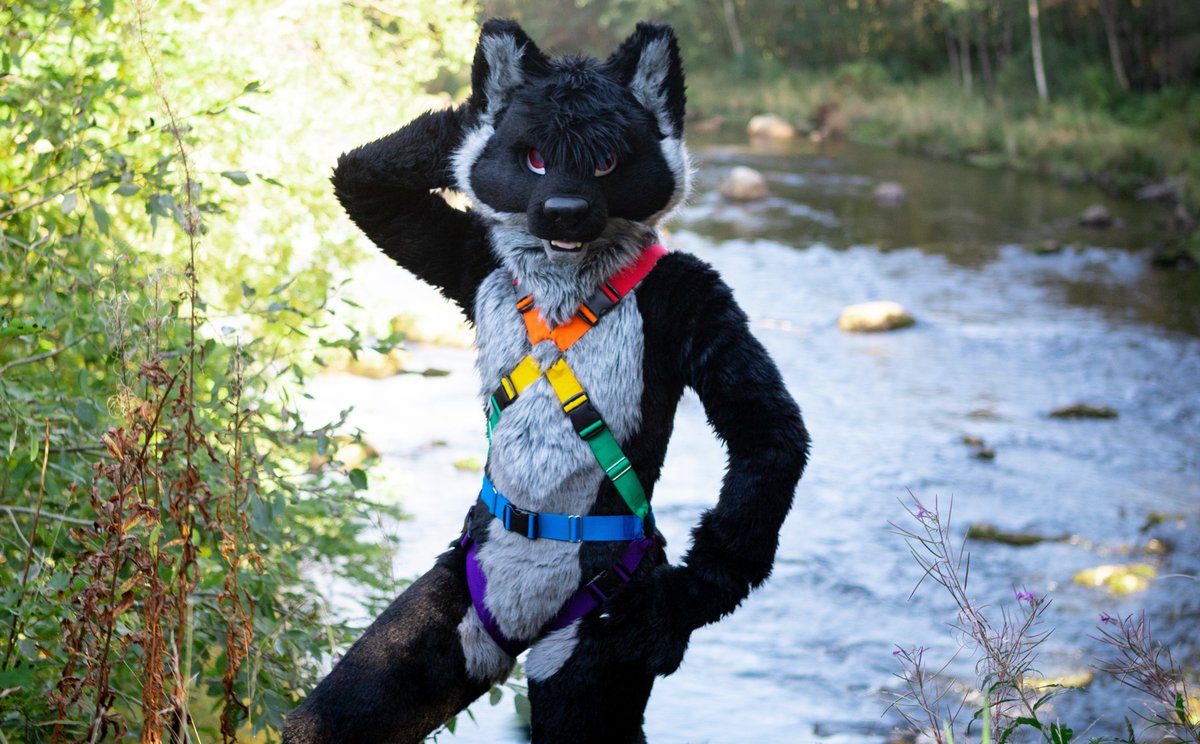 🌟 FREE HARNESS RAFFLE 🌟

As a celebration for our 5th Anniversary we will give away 1 FREE harness!
Thanks for the support❤️💚💙💜🧡

RULES
- FOLLOW and RETWEET to enter
- Ends Mar 5th 12am CST / 7am CET