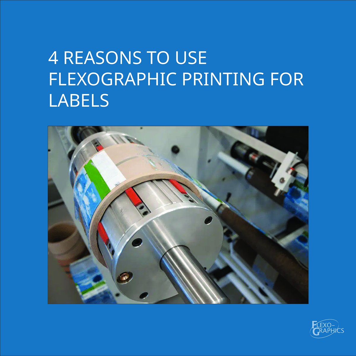 Flexo-Graphics tweet media
