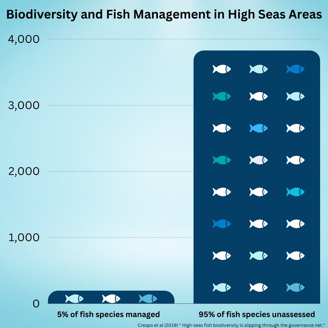 A #biodiversity treaty that fails to include fish is not a biodiversity treaty. Only 5% of fish biodiversity in the high seas are assessed by RFMOs. Read more about why the high seas treaty must reflect the critical role of fish in marine #ecosystems . 👉bit.ly/3SRTFa9