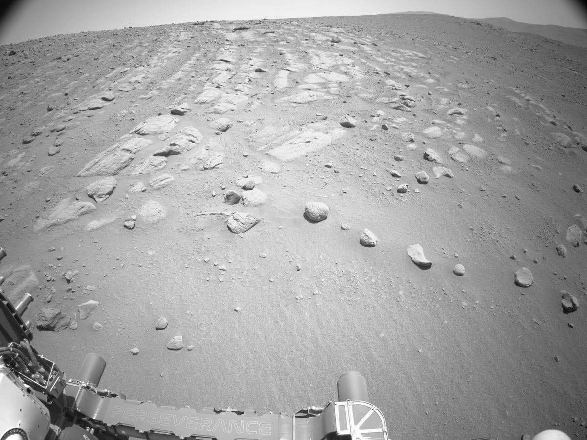 fredHeller1's tweet image. Sol 721 that's some layering there!
#sandbars

#Perseverance