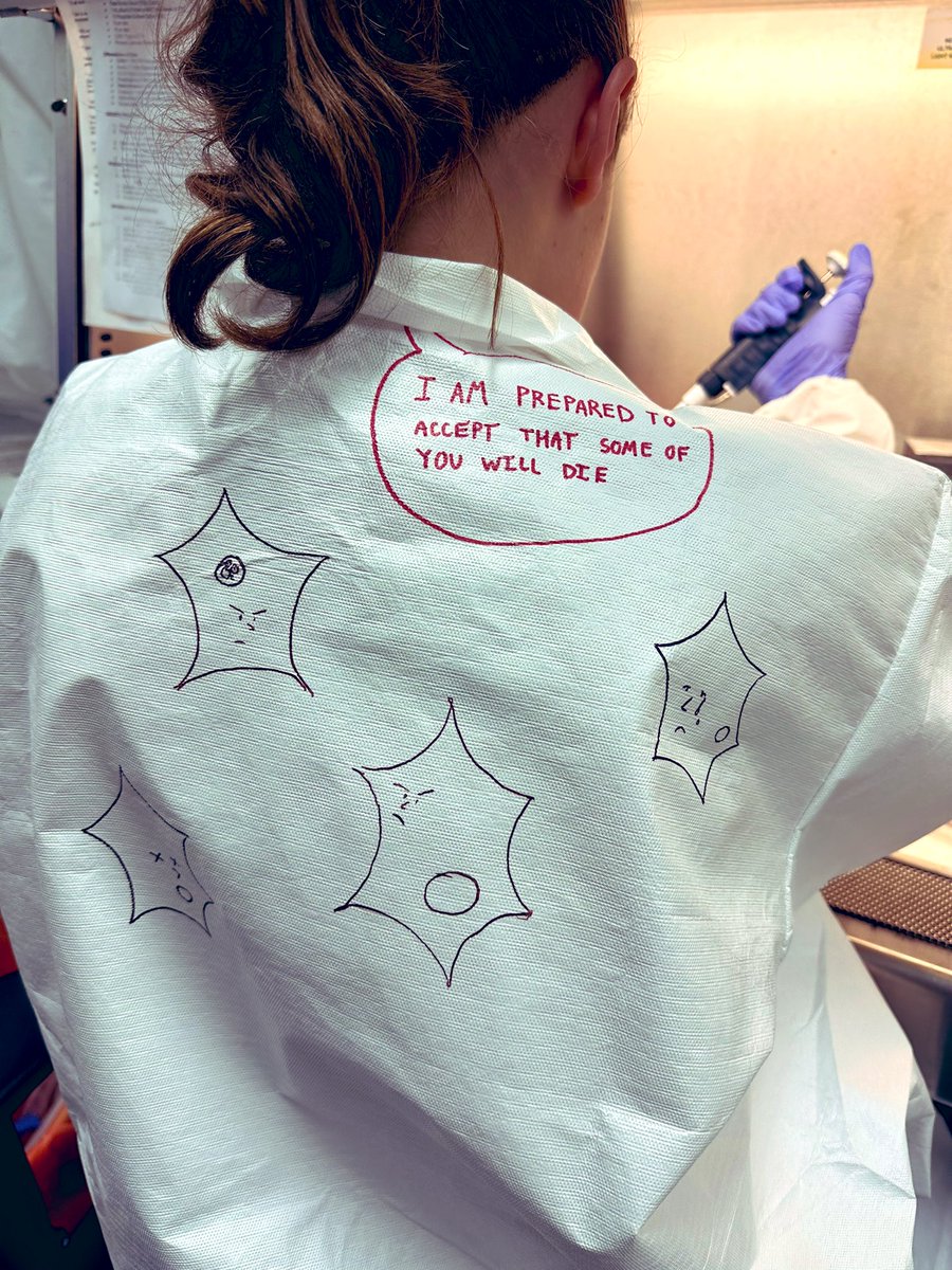 JudithSimcox's tweet photo. Evidently these are the vibes the Simcox lab brings to research… #CellSelection #SurvivaloftheExpressing https://t.co/Se5WNt1jAj