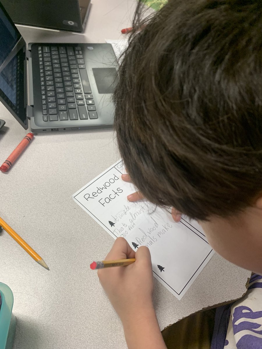 #ReadAcrossAmerica2023 day3: wild about reading <a href="/SanchezES_HISD/">Sanchez Elementary</a> ! 2nd-5th grades learned about the wild Redwood trees in California and used their knowledge to create a brochure @TeamHISD @HISD_Curric @HISDLibraryServ <a href="/lenbryan25/">nope</a>