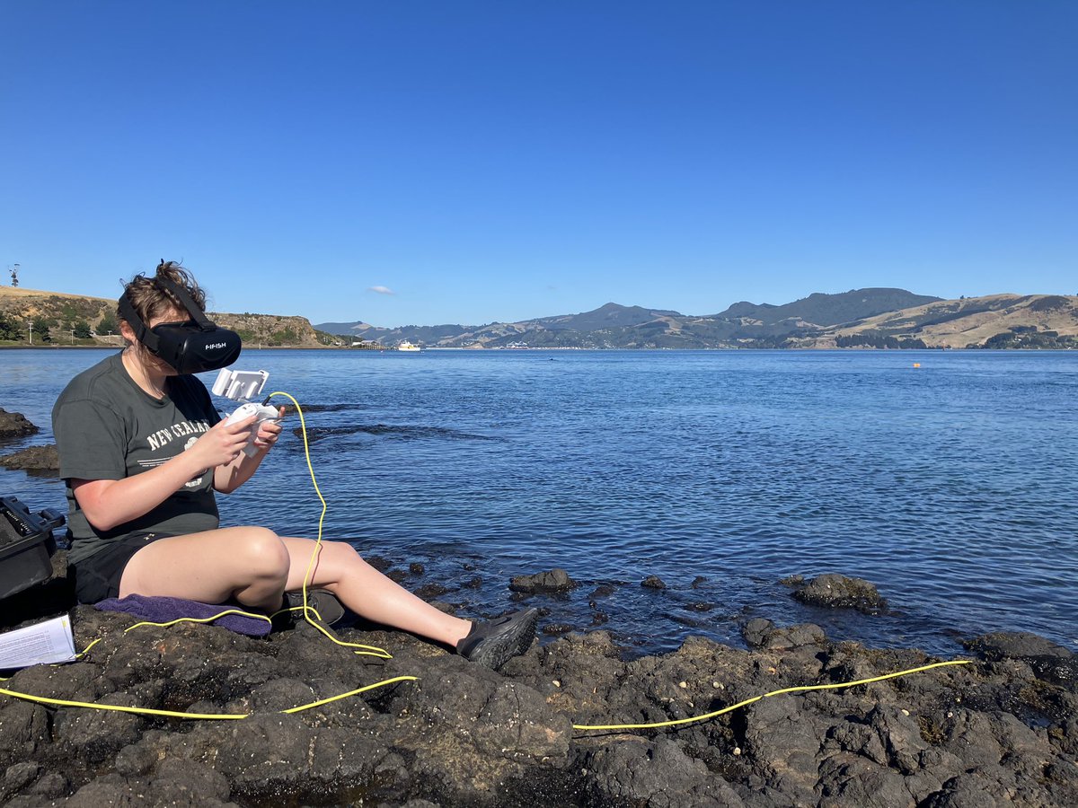 Another day hard at work