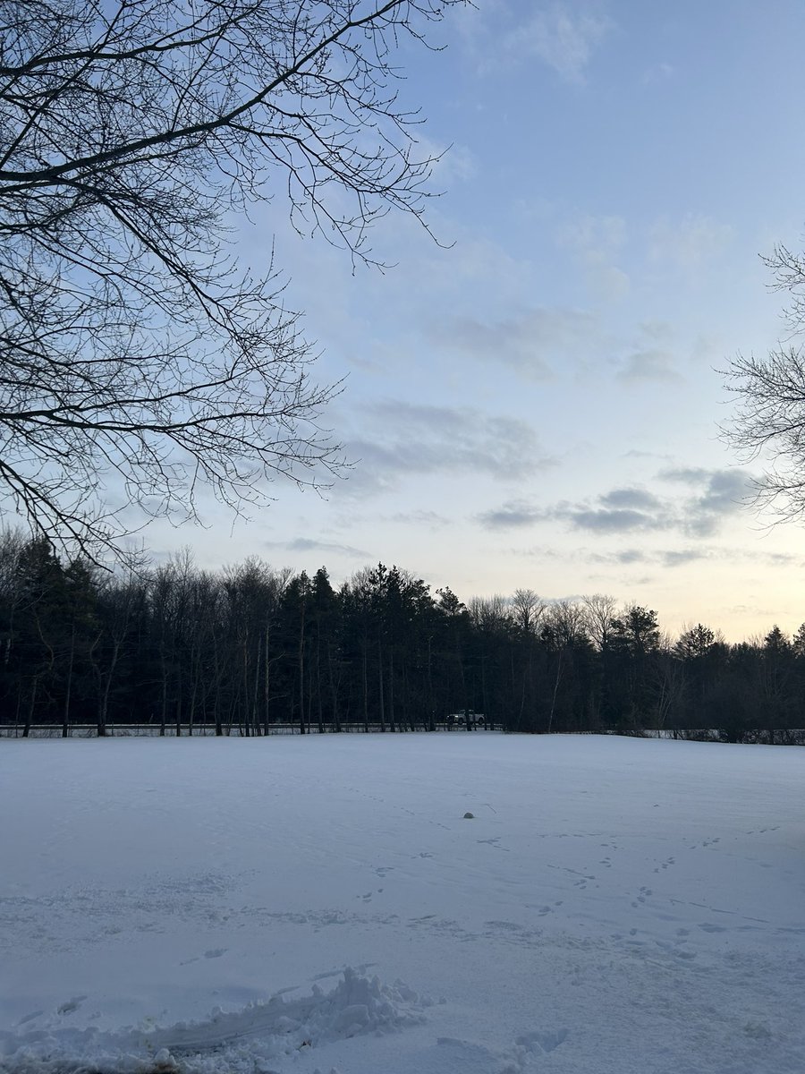 MrsHackett305's tweet image. It’s after 6 pm and there’s still light 😁. #SpringIsNear