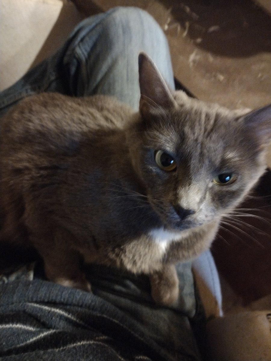 rystuder's tweet photo. Nothing finer than #sweetpussy https://t.co/NWMoqyzMBB