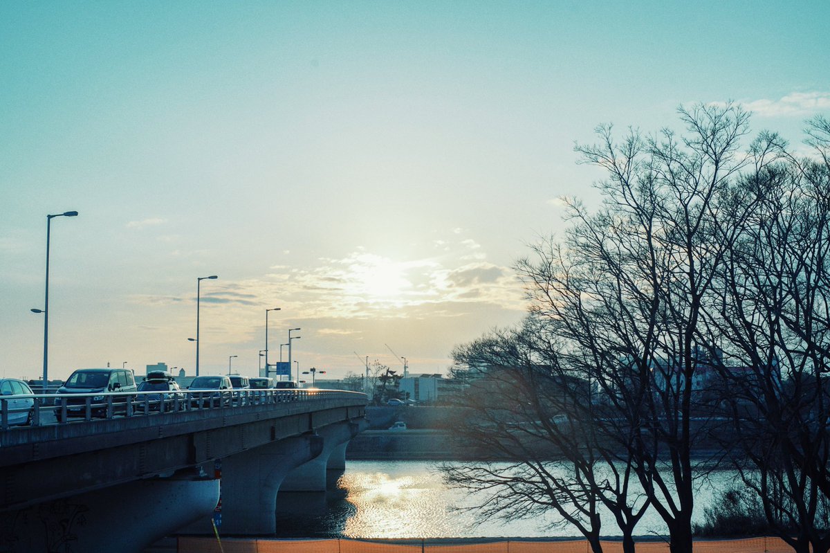 春の散歩

#oldlens #photograhy #film 
#ファインダー越しの私の世界