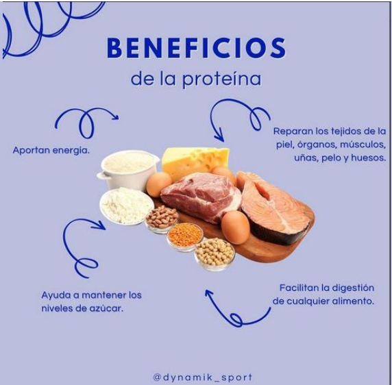 Dynamik_sport's tweet image. Para mantener una buena alimentación es importante mantener una dieta equilibrada y eso significa comer de todo. Los alimentos proteicos son igual de importantes que los demás, así que os dejamos parte de los beneficios que aportan a nuestra salud física.💪🏼💥
#dynamik #liveactive