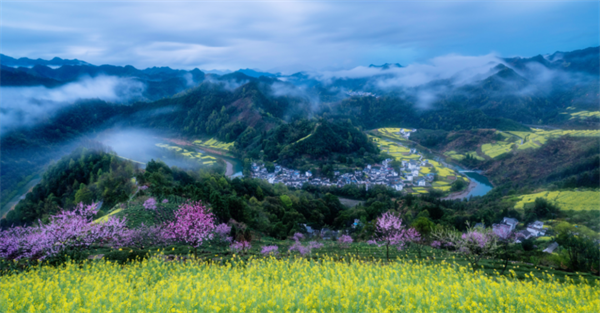 loveher11583840's tweet photo. 在温婉春光里，中国安徽黄山漫山遍野的花竞相盛开，或红或粉，灿若云霞，粉墙黛瓦的村落掩映其中，美不胜收，最美的季节，到最美的黄山去！ https://t.co/99tJrSoABE