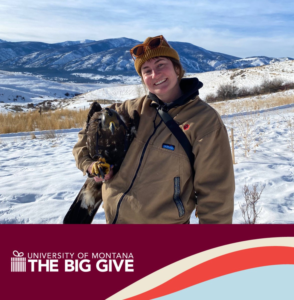 Dr. Jim Elser, PhD 🇺🇸 tweet media