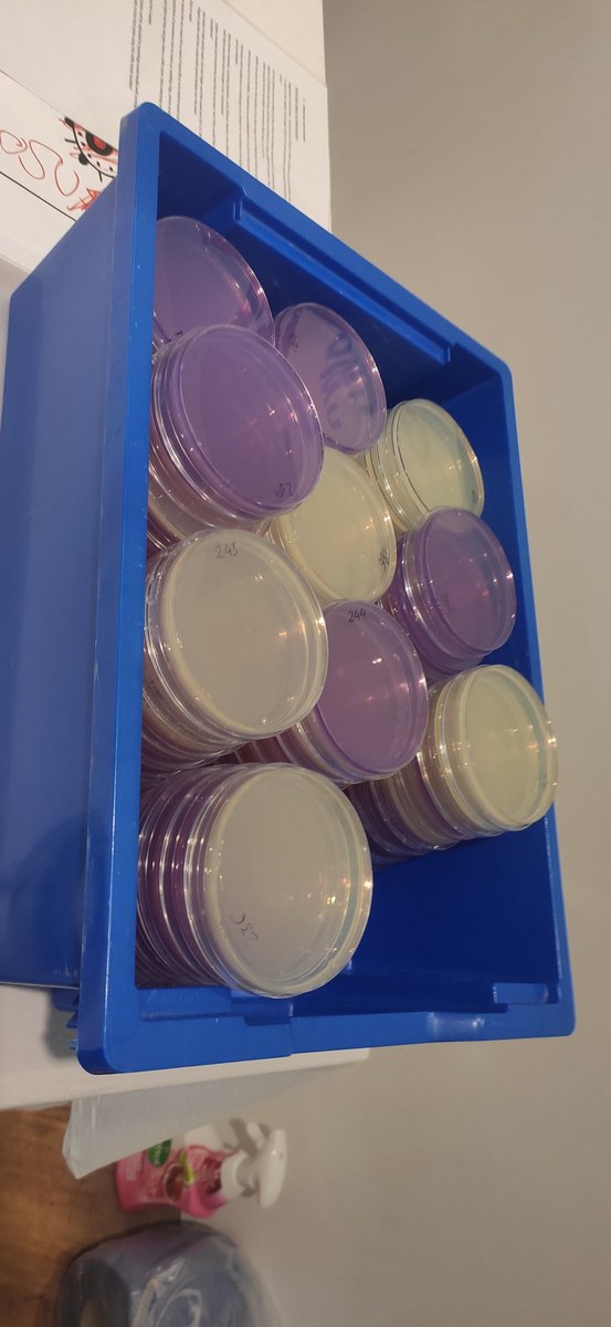 EGalueMozo's tweet photo. Waiting for the results of the swabs from @SuperbugsExeter like https://t.co/sjhNVPNaAK